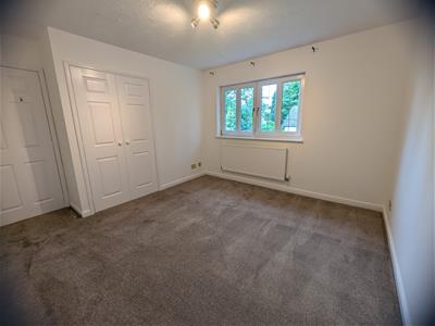 Picture 27